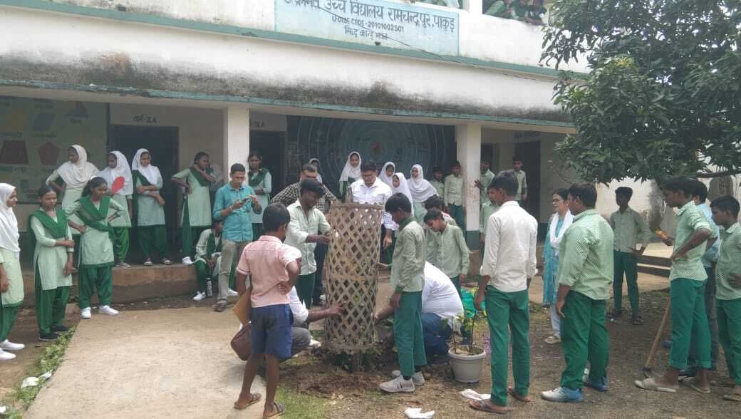 विद्यालय में लगाये गये फलदार व छायादार पौधे