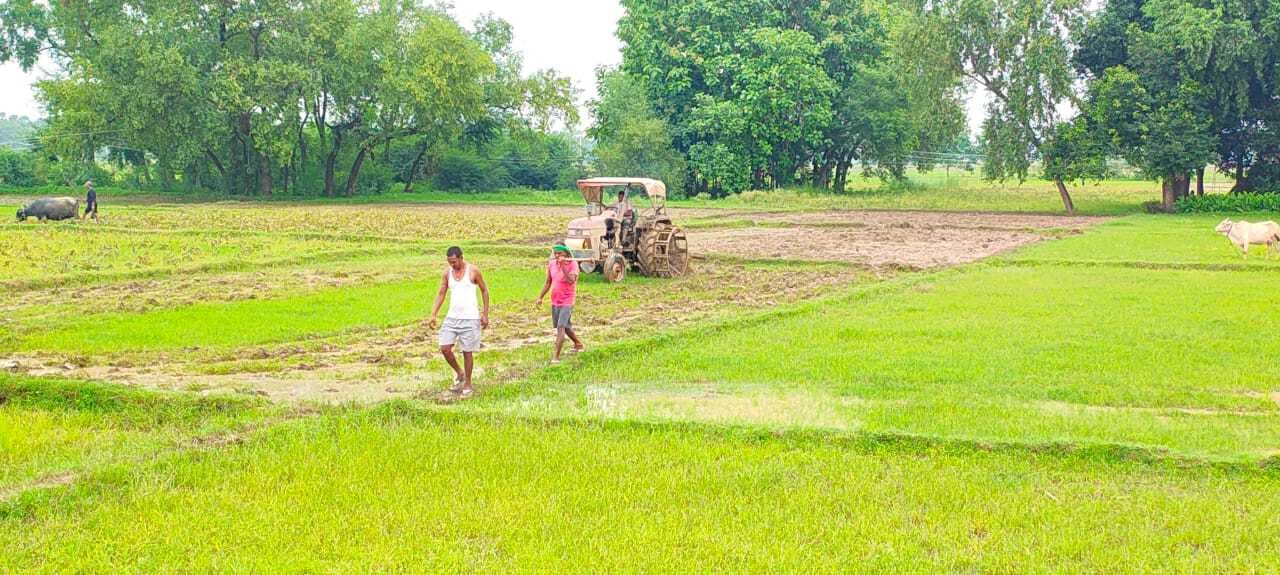 बारिश की बेरुखी से किसान चिंतित