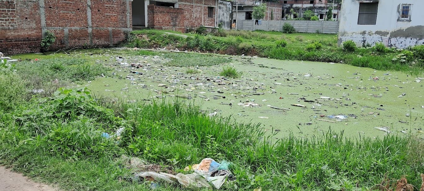 मच्छरों ने उड़ाई नींद, कागज में करायी जा रही फॉगिंग