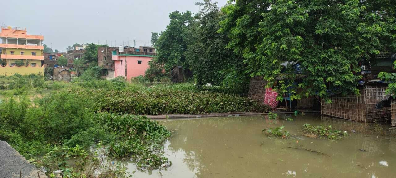 लीड : दियारा व शहरी क्षेत्र के निचले इलाके में फैला पानी