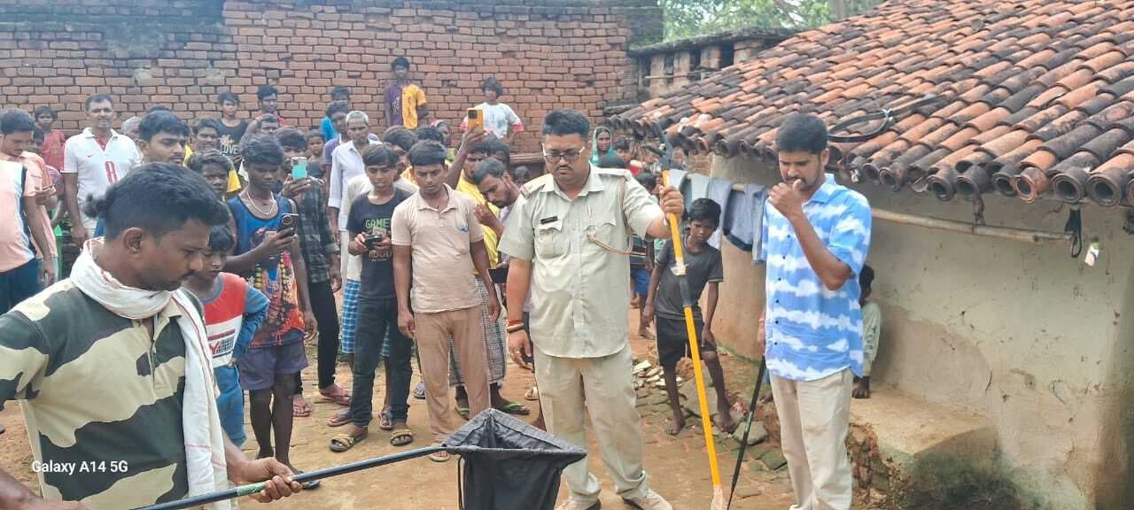 सारवां: वन कर्मियों ने रेस्क्यू कर कोबरा को जंगल में छोड़ा