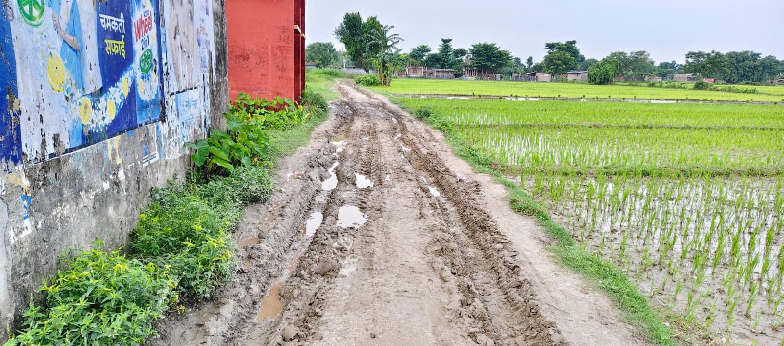 कीचड़मय सड़क स्कूल जाने वाली बच्चों के लिए बनी मुसीबत