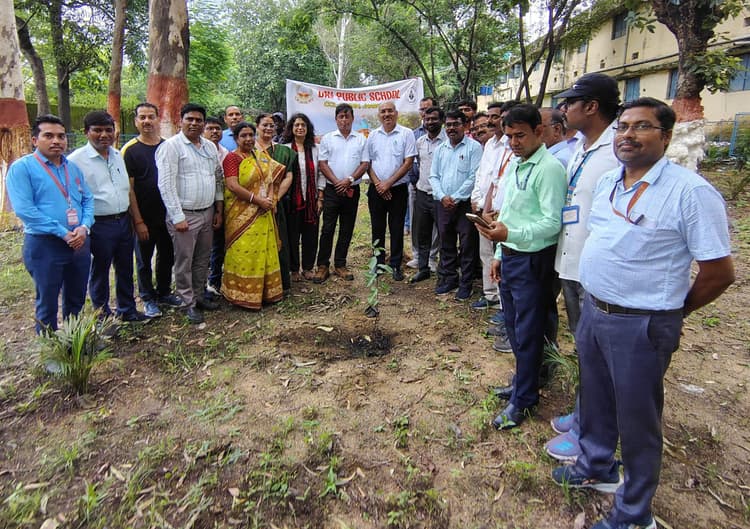 Giridih News :हरियाली दिवस पर डीएवी सीसीएल में किया गया पौधरोपण