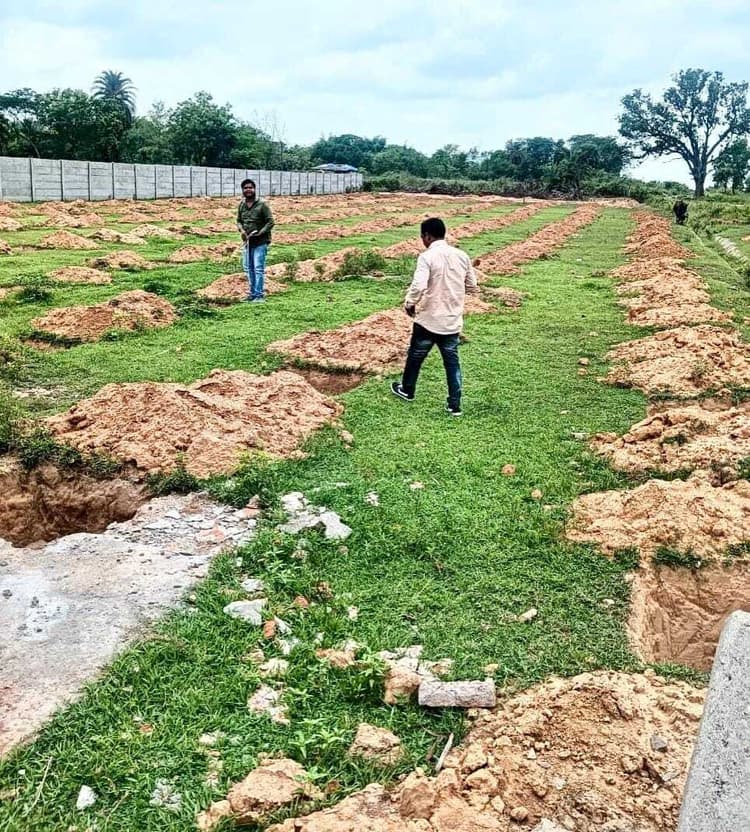 East Singhbhum News : घाटशिला में हरित क्रांति योजना से रोपे जाएंगे 14 हजार फलदार पौधे