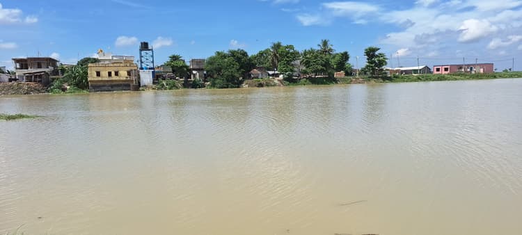 थम नहीं रही गंगा व कोसी के जलस्तर में वृद्वि की रफ्तार