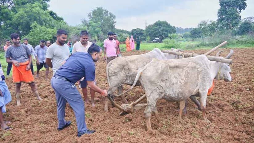 Giridih News: पहाड़पुर में डीसी ने की मूंगफली की खेती व धान की रोपाई