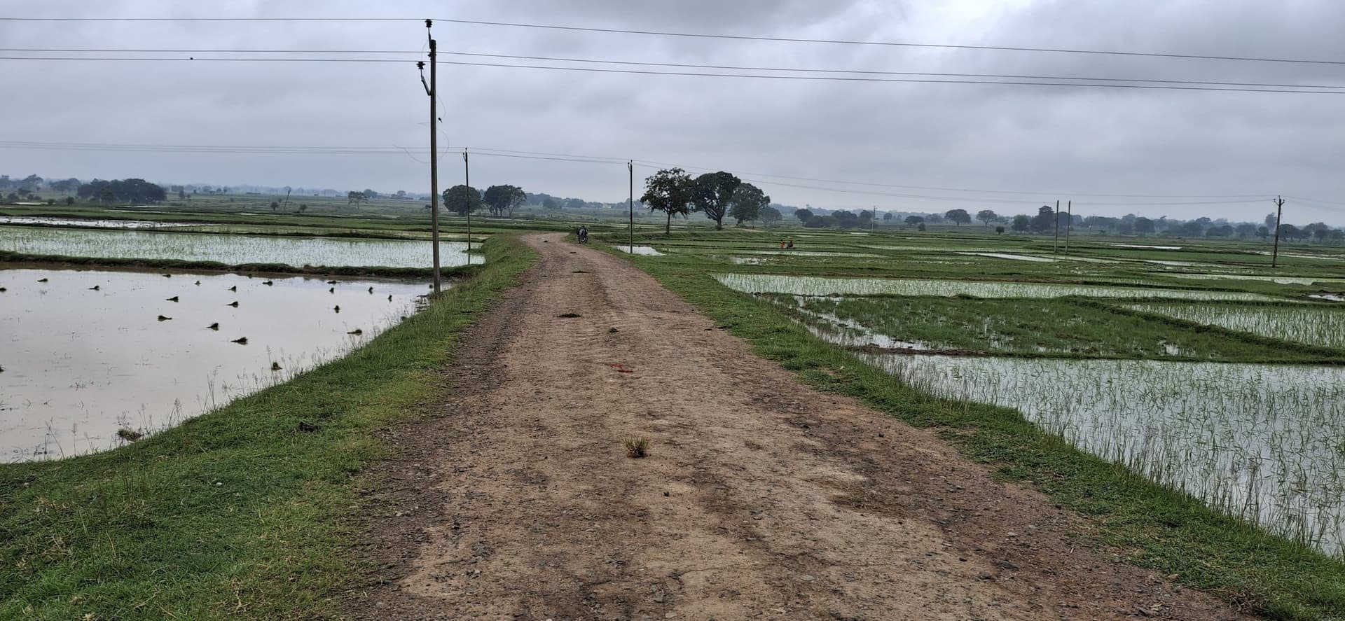 Giridih News :शिलान्यास के दो वर्ष बाद भी सड़क का निर्माण नहीं हुआ पूरा