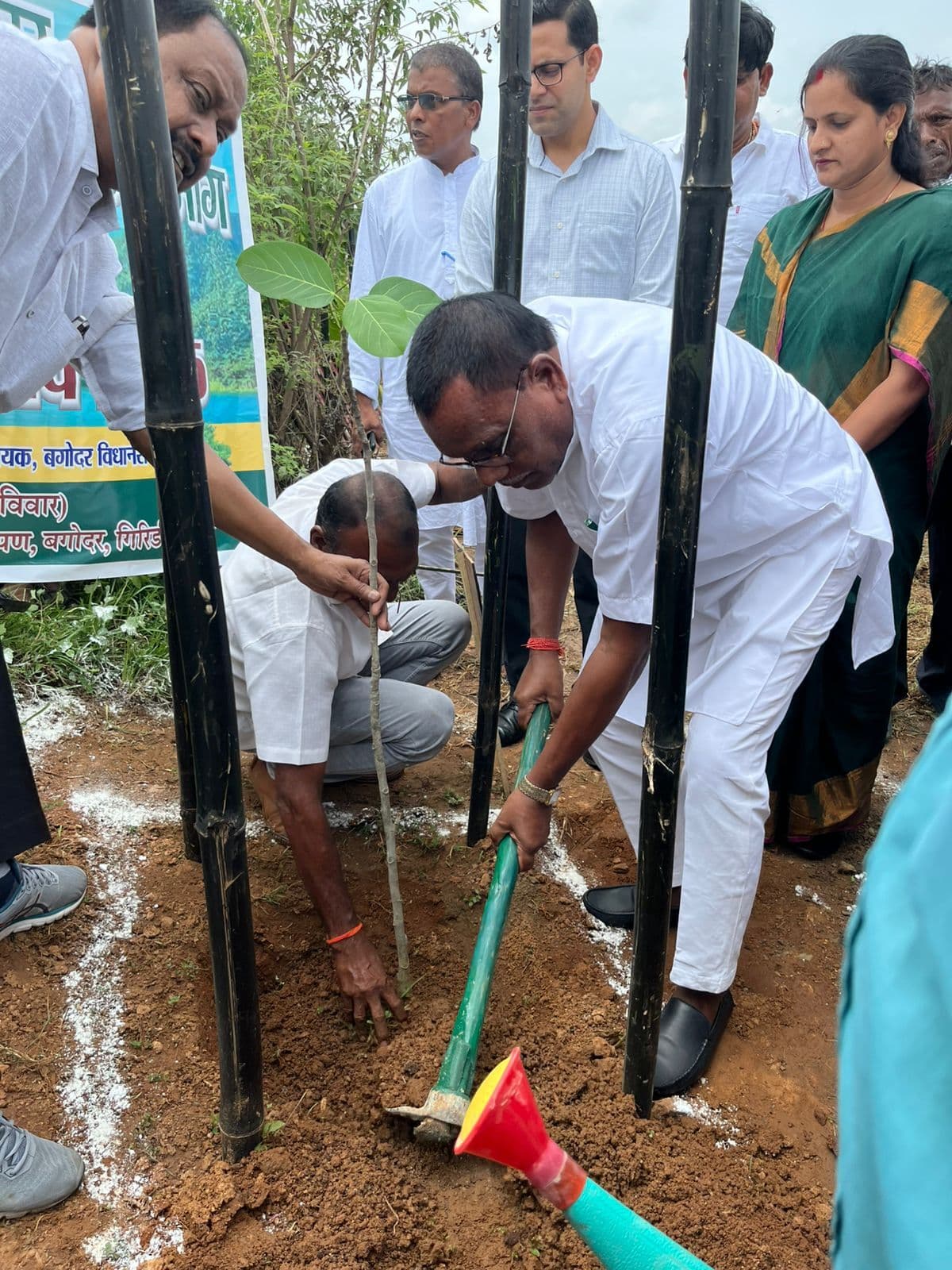 Giridih News: वन महोत्सव में लोगों ने किया पौधरोपण