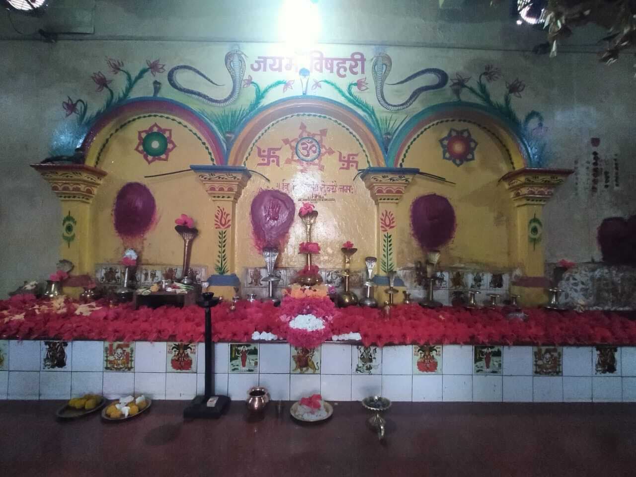 नागपंचमी आज बिशौनी एवं डुमरिया बुजुर्ग में विशेष पूजा का आयोजन