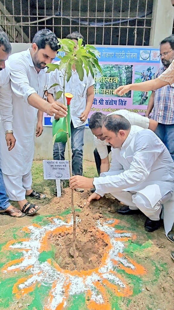 kaimur News : अपने नाम पर लगाये गये पौधों को भी नहीं बचा पाये मंत्री व अधिकारी