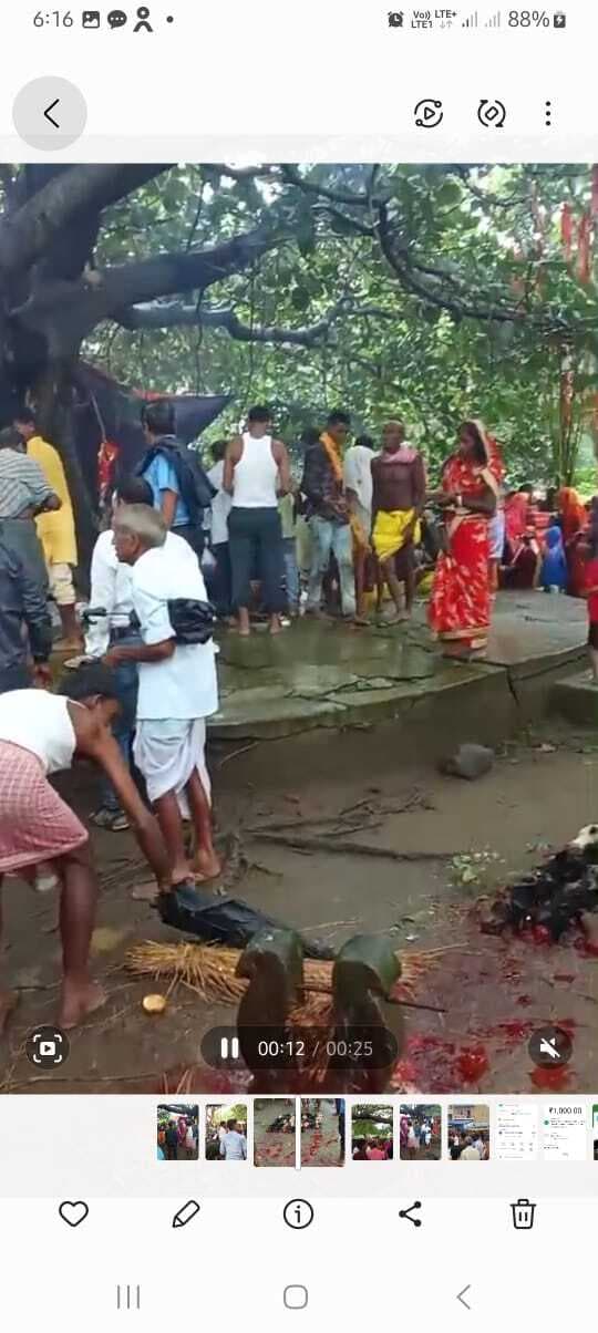 दिघरिया में बाबा दुबे की धूमदाम से हुई वार्षिक पूजा