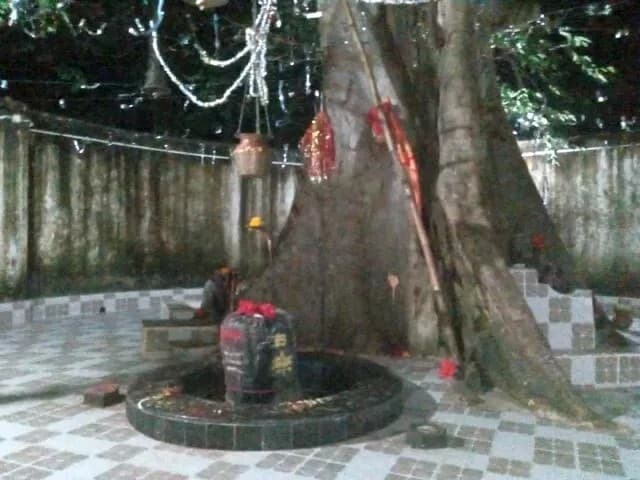 आस्था व अध्यात्म का प्रतीक है अर्जुनश्वेर धाम