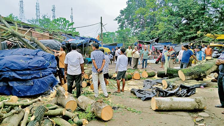 Rourkela News: झारखंड मार्केट में गिरा पेड़, तीन दुकानें क्षतिग्रस्त, बिजली के दो खंभे टूटे