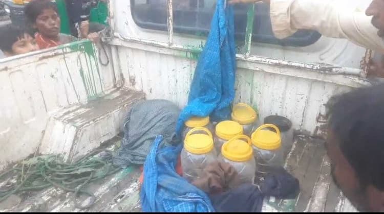 गौरीचक में 30 जहरीले सांप के साथ पांच तस्कर गिरफ्तार