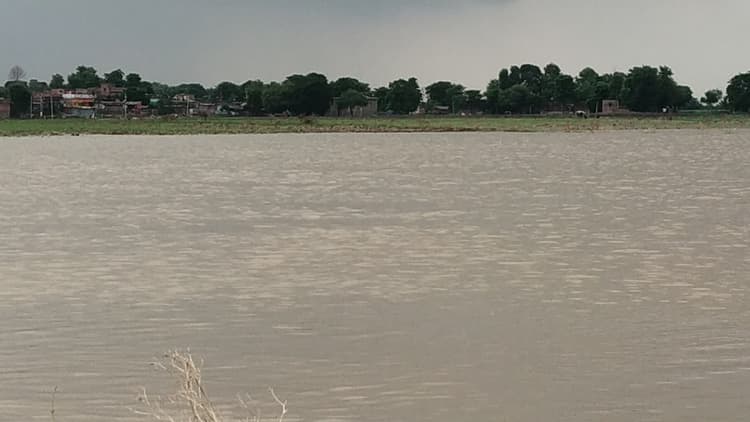 बड़हरा में गंगा का जल स्तर 1.5 सेंटीमीटर प्रतिघंटे बढ़ रहा