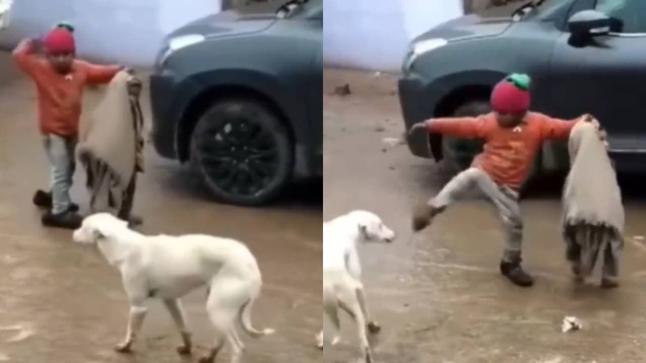 viral video viral video
