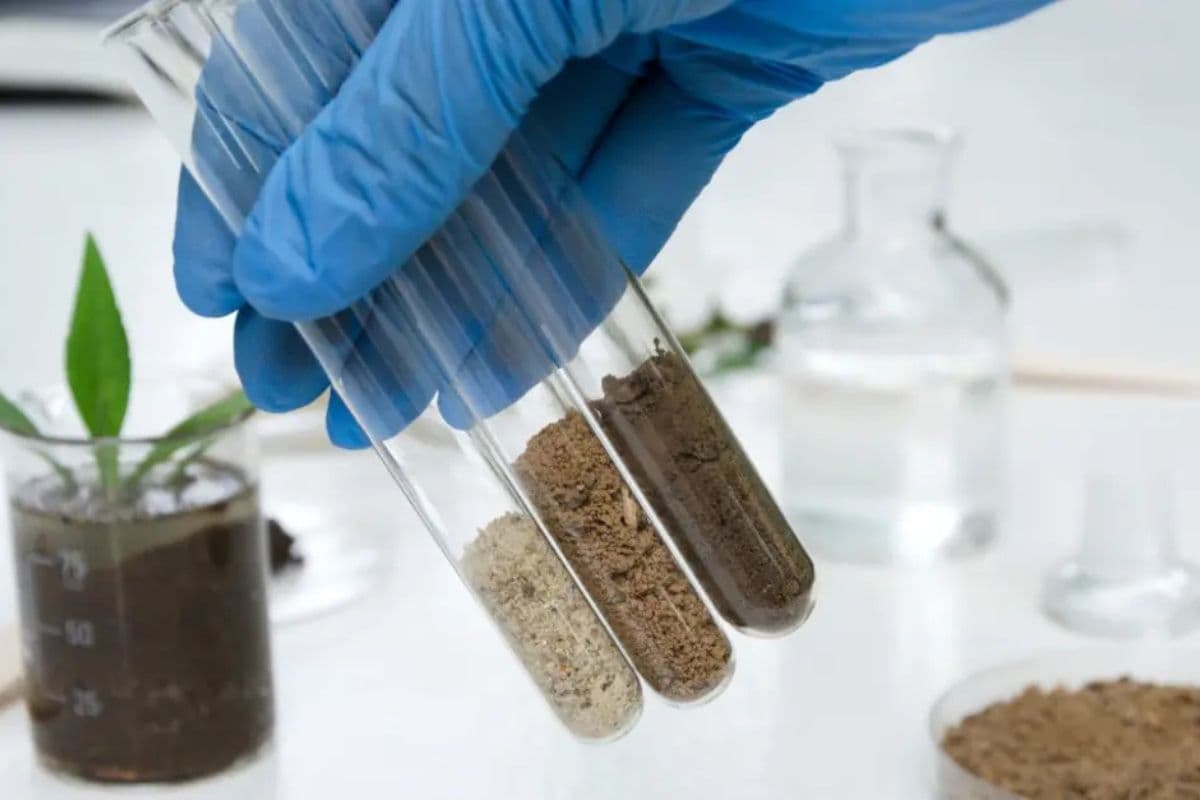 32 new soil testing laboratories will be opened in Bihar