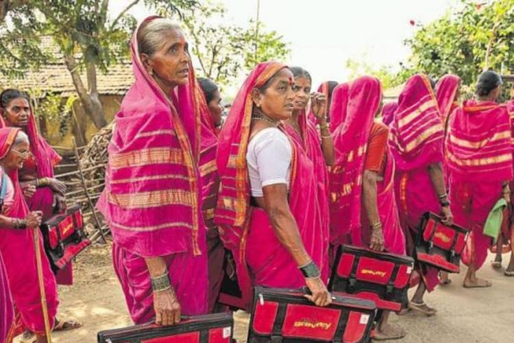 गुलाबी साड़ी, कंधे पर बस्ता! बुजुर्ग महिलाएं फिर बनीं स्कूल की छात्राएं