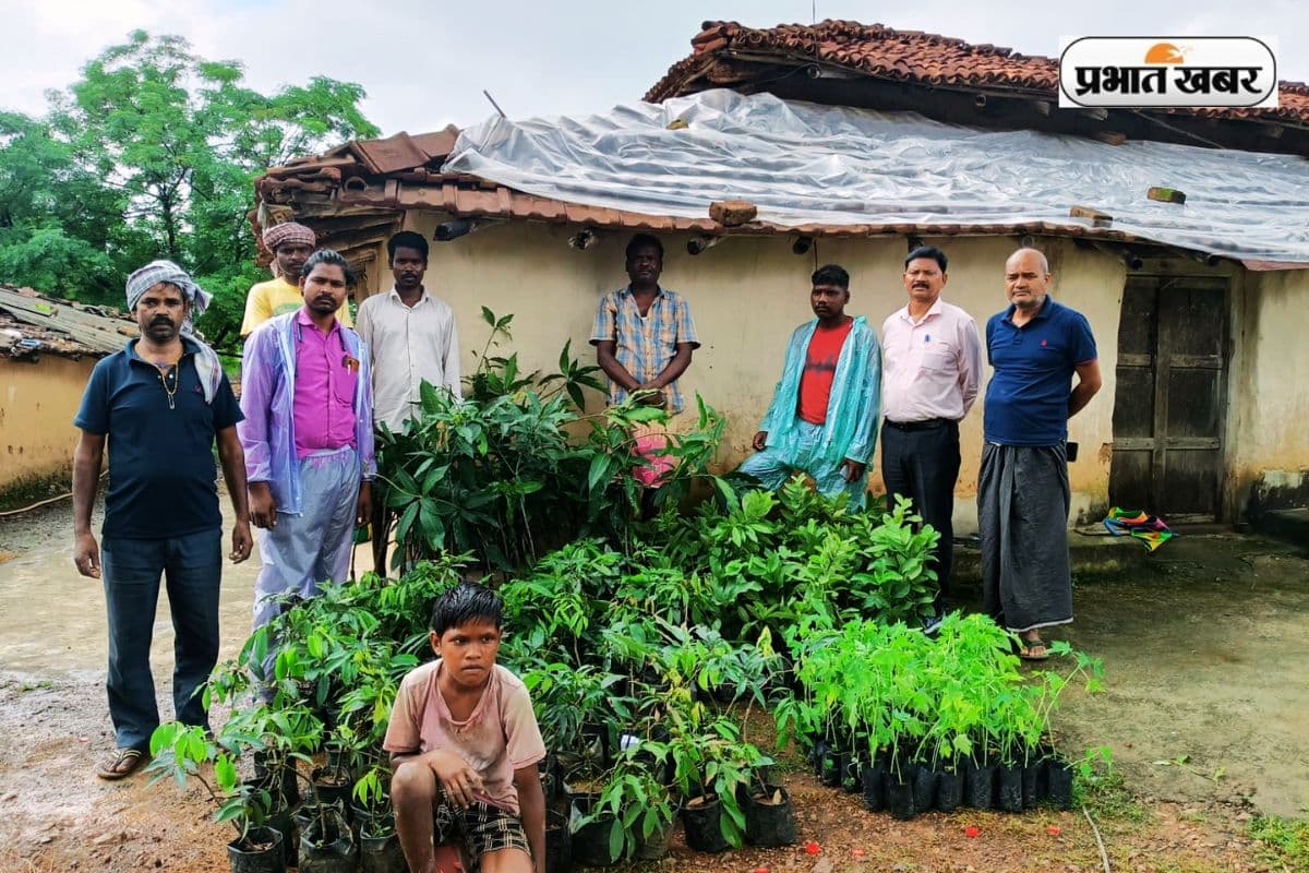 बिरसा कृषि विश्वविद्यालय ने आदिवासी किसानों के बीच बांटे फल के पौधे
