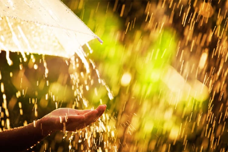 20 अगस्त से अगले 6 दिन तक कैसा रहेगा झारखंड का मौसम, IMD ने दिया अपडेट