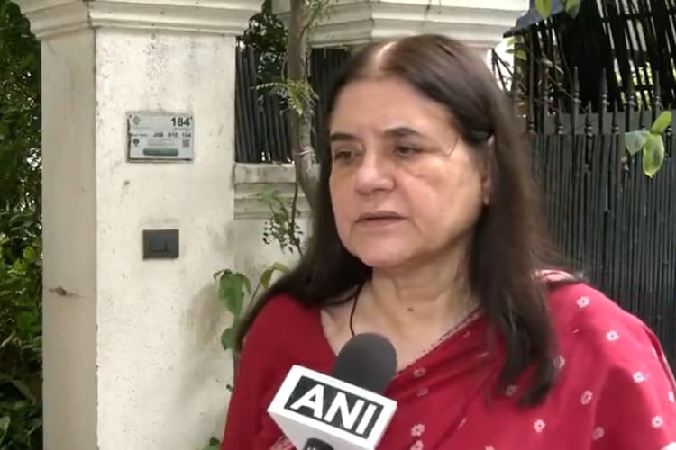 Stray Dogs: आवारा कुत्तों पर SC के फैसले से भड़कीं मेनका गांधी, CJI से समीक्षा करने की मांग की