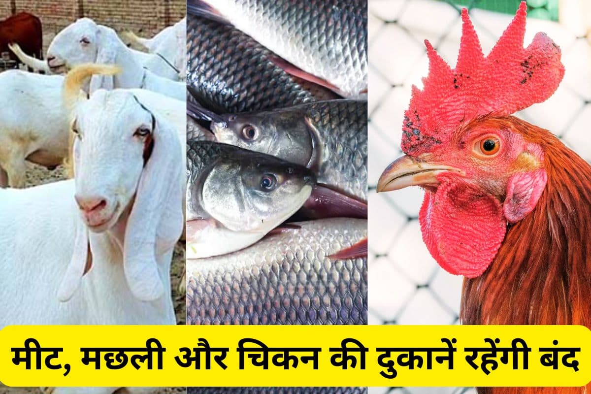 Meat Fish Chicken Shops Closed Ranchi Jharkhand