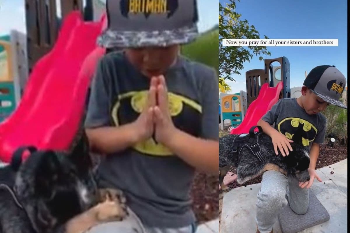 Viral Video : OMG! दिल हाथ में आ जाएगा, अगर आपने देख लिया ये वीडियो