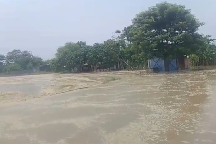 Bihar Flood: बिहार में गंगा-कोसी से खौफनाक मंजर, 500 से अधिक घर नदी में समाए, इन जिलों में भारी अलर्ट