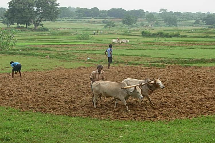 Bihar Monsoon: बिहार के 22 जिलों में अब भी सामान्य से कम हुई बारिश, सूखे का खतरा बरकरार, देखिए लिस्ट