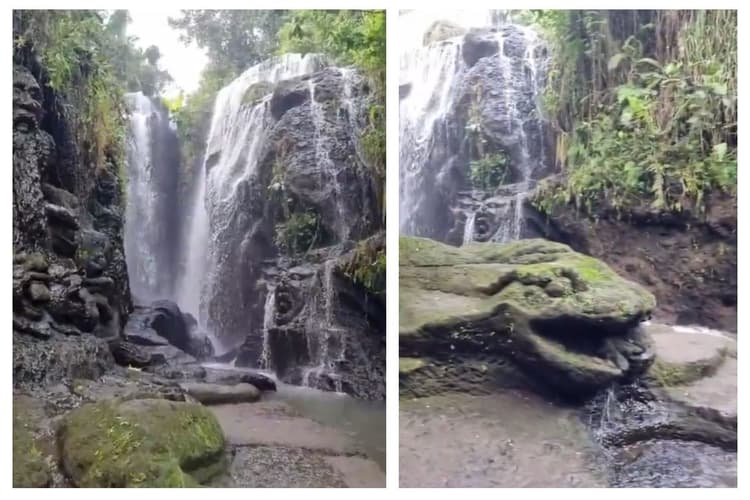 Viral Video: हर तरफ सांप ही सांप! आंखों पर नहीं होगा यकीन, हैरान कर देगा वीडियो