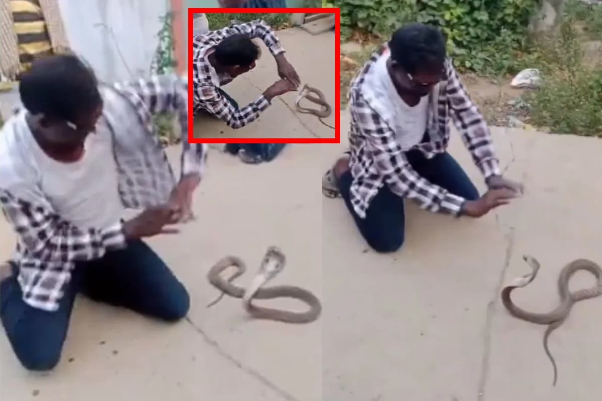 कोबरा के सामने नागिन डांस कर फंसा युवक, Viral Video ने उड़ाये होश