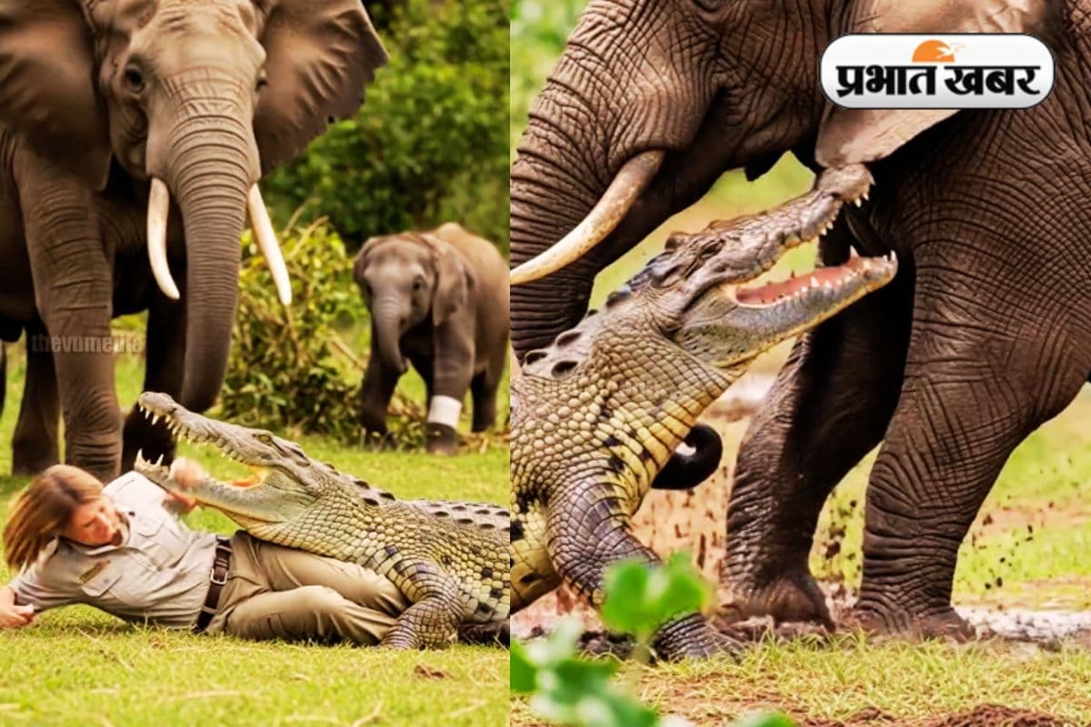 Viral Video dreaded crocodile and elephant fight Viral Video dreaded crocodile and elephant fight