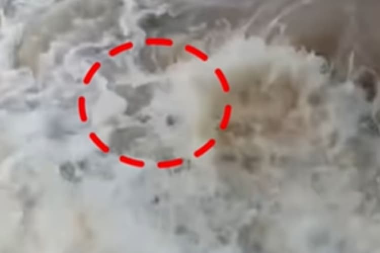 Viral Video : दोस्त की जान बचाने के लिए लहरों से भिड़ गया दोस्त, वीडियो देख लोग कर रहे हैं सच्ची दोस्ती की तारीफ