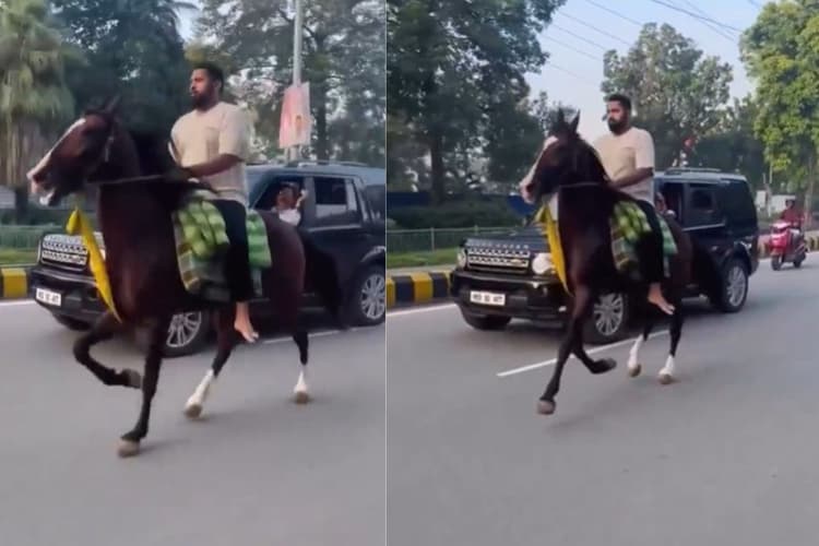 Video: बेटा कर रहा घोड़े की सवारी, पीछे चल रही अनंत सिंह की गाड़ी, वीडियो देखिए