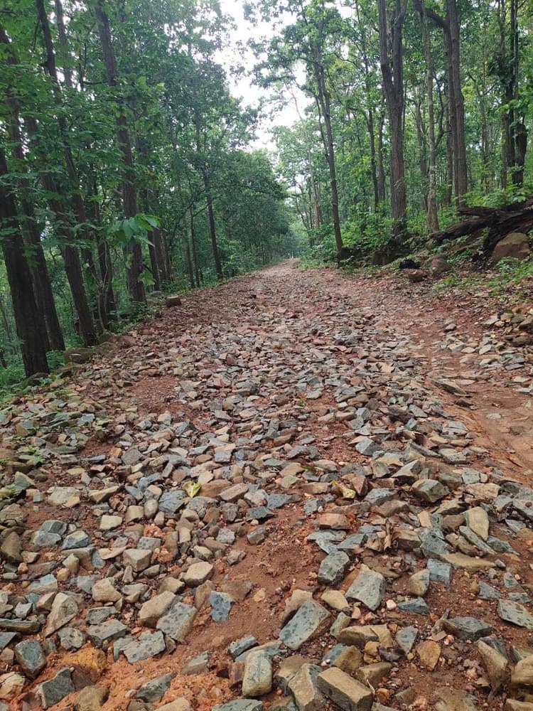East Singhbhum News : डुमरिया के बादलगोड़ा से लखाइडीह तक सड़क जर्जर, बारिश में बह गयी पिच