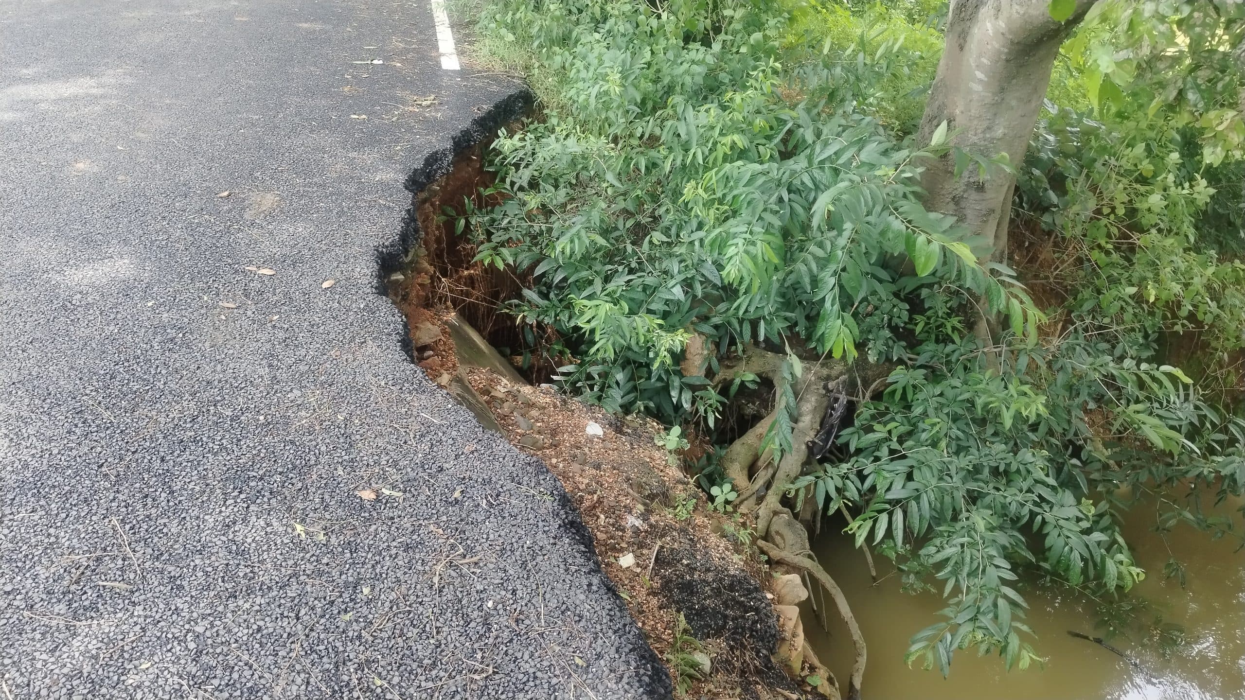 एक वर्ष पहले बनी सड़क अब बन गयी है खाई