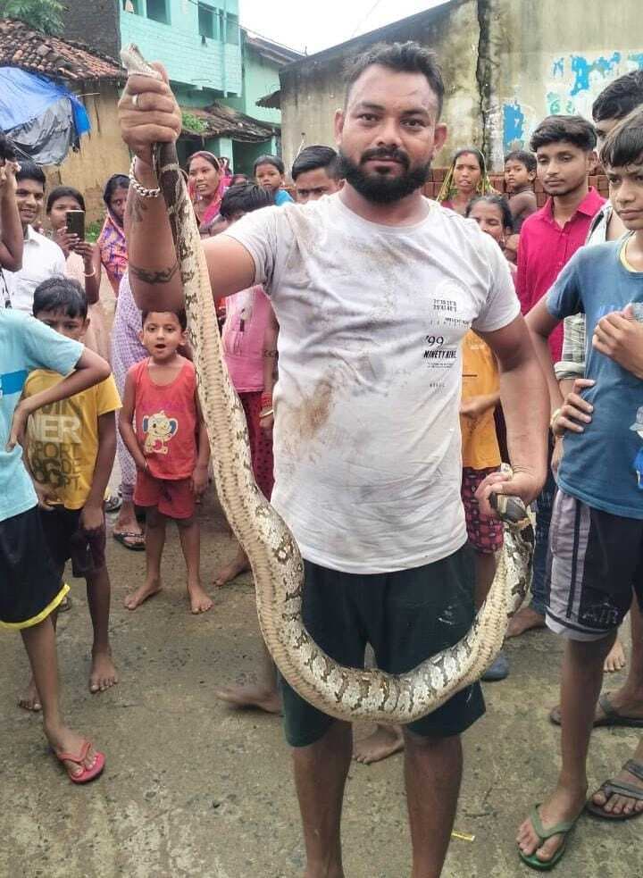 मदनाडीह गांव में निकला छह फीट का अजगर