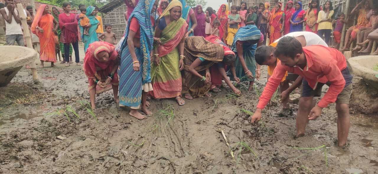 सड़क पर धनरोपनी कर ग्रामीणों ने किया प्रदर्शन