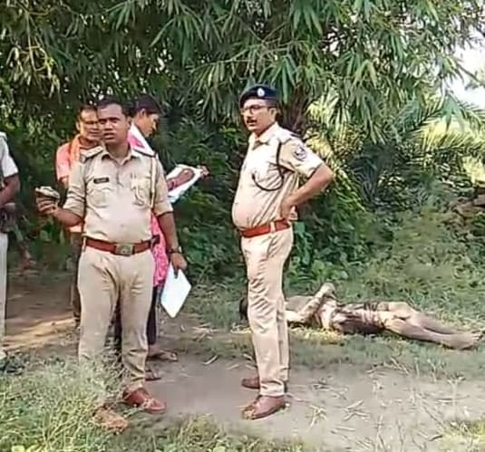 महेशखूंट के राजधाम में युवक की गोली मारकर हत्या, कोलियाधार में मिला शव