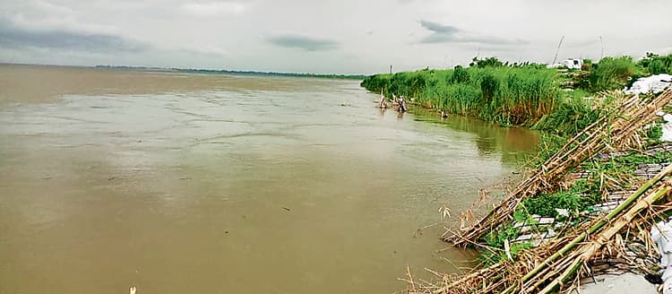 Gopalganj News : नेपाल में बारिश से हर घंटे दो सेंटीमीटर बढ़ रही गंडक नदी, निचले इलाकों में बढ़ा खतरा