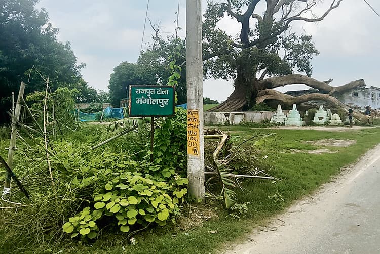 Gopalganj News : सिधवलिया में स्वर्गवासी के नाम पर राजस्व कर्मी और सीआइ की रिपोर्ट पर सीओ ने की जमाबंदी