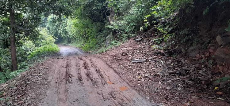 East Singhbhum News : बासडेरा-नरसिंहपुर सड़क बदहाल