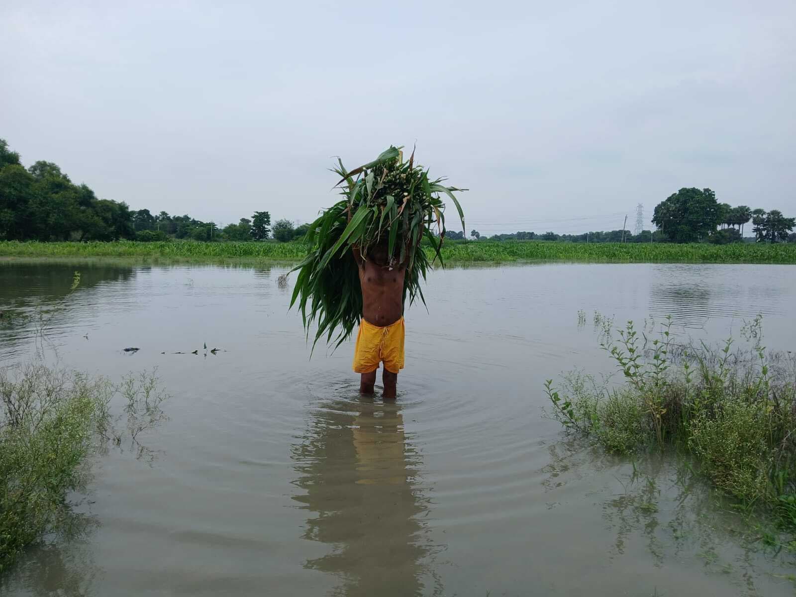 Samastipur : गंगा व वाया नदियों का कहर जारी, रिहायशी इलाकों में तेजी से पसरने लगा पानी