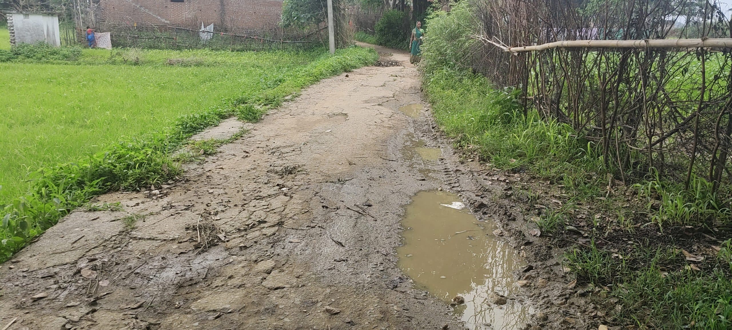 Giridih News :बुनियादी सुविधाओं से जूझ रही है खरसान पंचायत