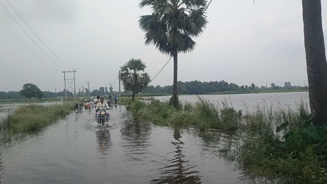 चितौड़िया के कई गांव में घुसा बाढ़ का पानी