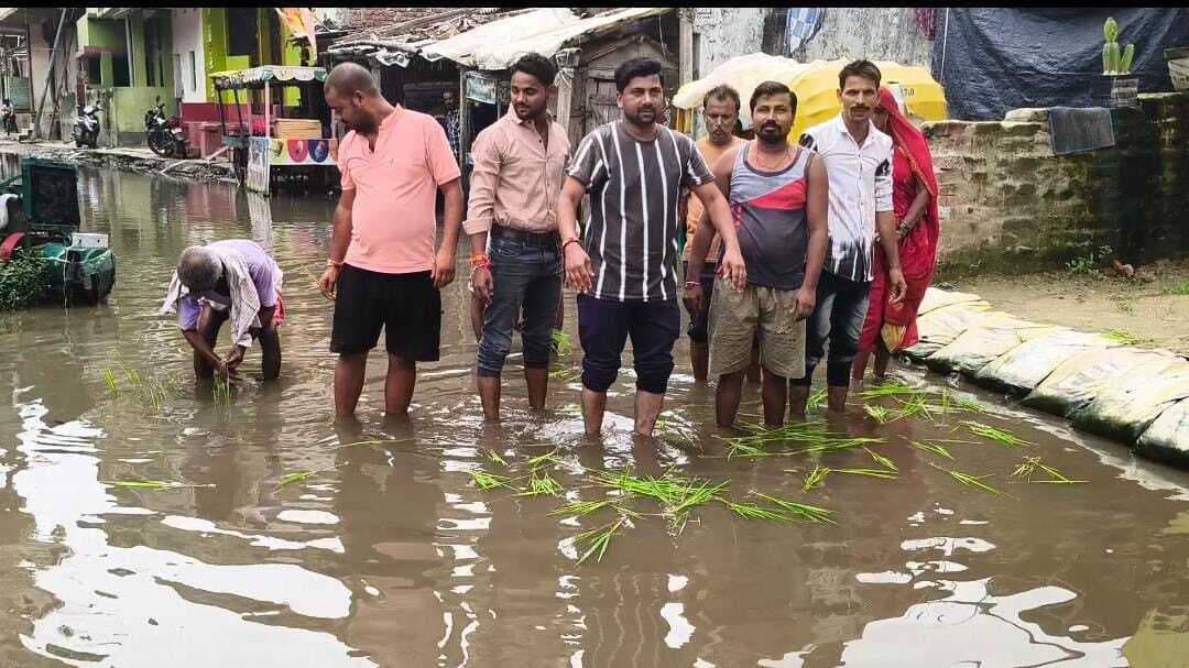 जलजमाव से त्रस्त वार्ड 39 के निवासियों ने सड़क पर धान लगा किया विरोध प्रदर्शन