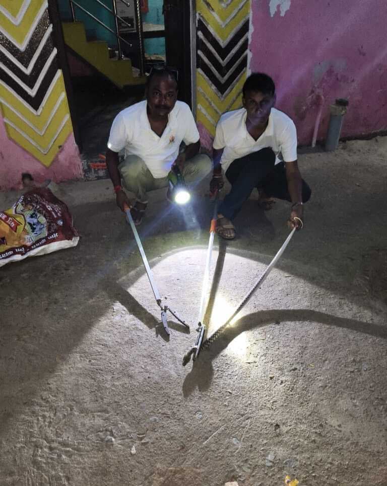 घर में घुसे सांप को वन विभाग की टीम ने किया रेस्क्यू