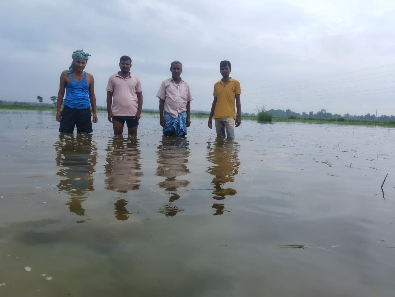 Motihari: कछुआ में बांध से छह गांवों की 500 एकड में फसल डूबी