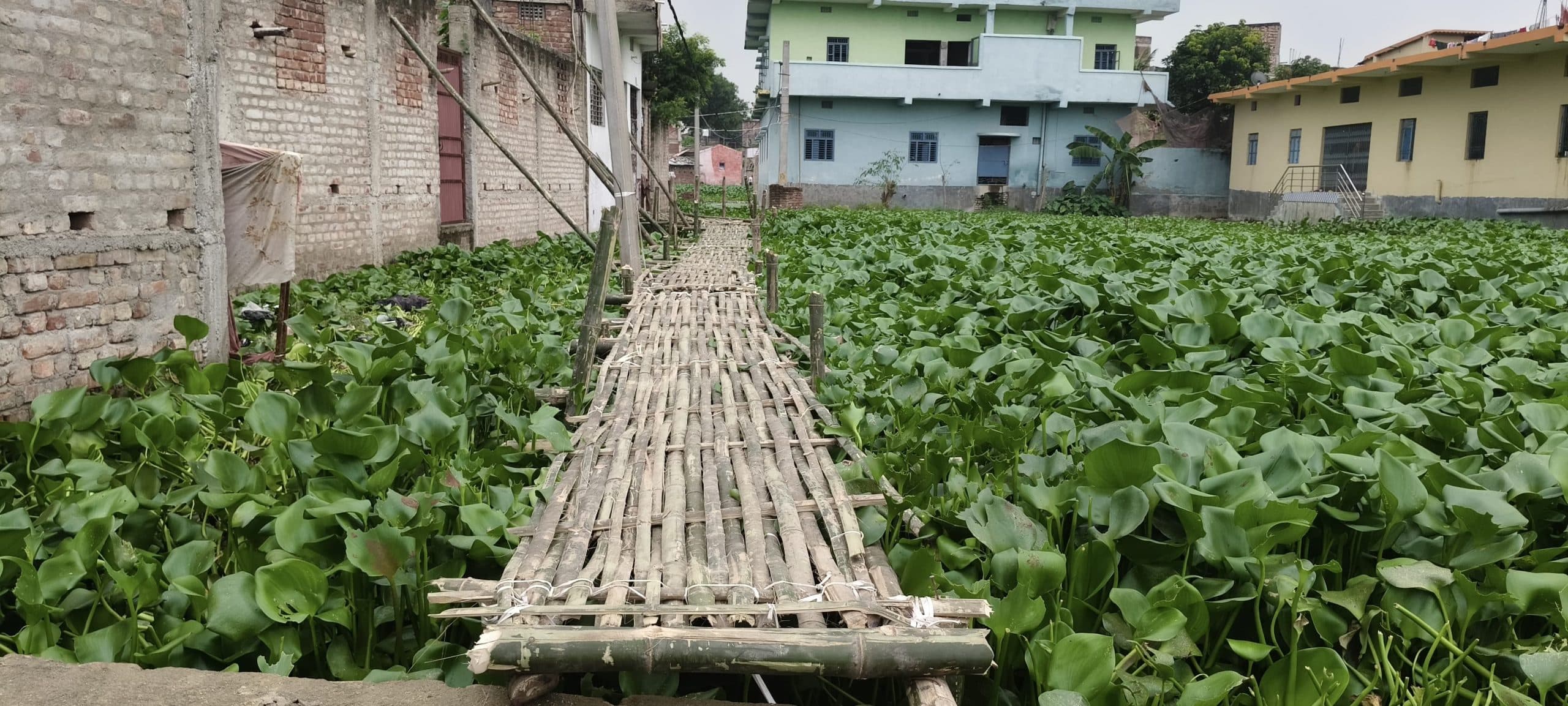 झमाझम बारिश से शहर में जलजमाव, लोगों की बढ़ी परेशानी