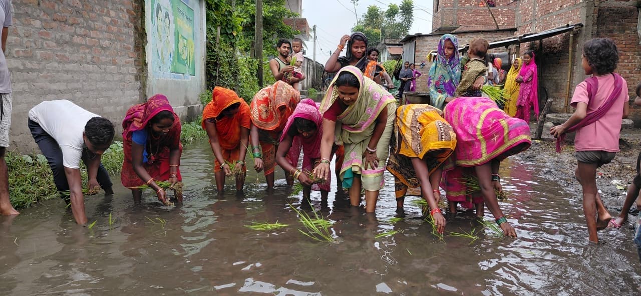 जलजमाव से परेशान ग्रामीणों ने सड़क पर की धनरोपनी